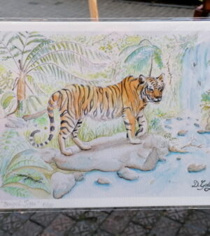 A4 Limited Edition Giclée Print - Bengal Tiger
