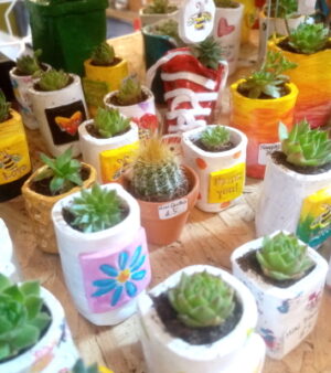 Plants and Handmade Pots