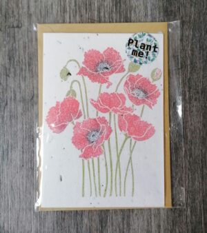 A6 Plantable Greeting Card - Poppy