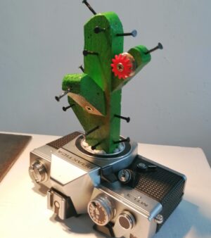 Wooden Cactus Sculpture in Upcycled Camera Pot