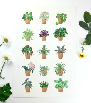 A3 Standard Print - Plants (Now 1/2 Price)