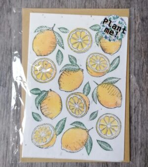 A6 Plantable Greeting Card - Lemon