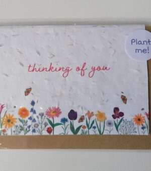 A6 Plantable Greeting Card - Floral "Thinking Of You" (GC059S)