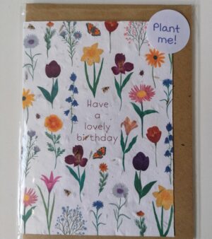 Plantable A6 Greeting Card - Florals And Insects "Have A Lovely Birthday"(GC060S)