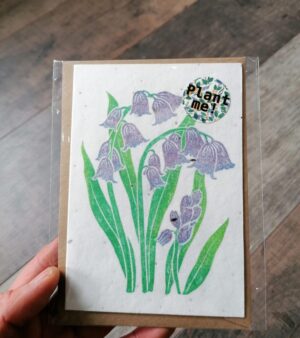 A6 Plantable Greeting Card - Bluebells