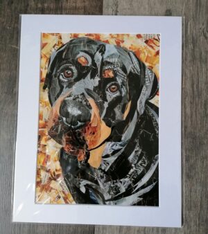 Mounted A4 Print - Rottweiler Collage (11" x 14")