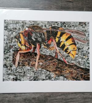 Mounted A4 Print - The Wasp With A Thousand Faces (11" x 14")