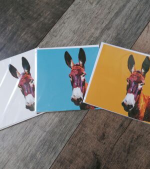 Square Greeting Card - Donkey (Various Colours)