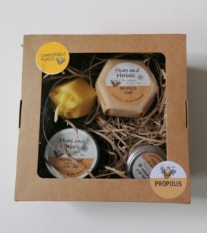 Gift Set - Bee Kind To Yourself (Propolis) 160-076