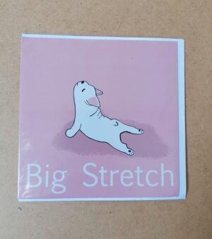 Square Greeting Card - Big Stretch Pug Design