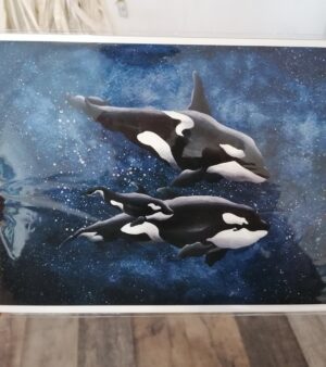 A4 Giclee Print - Orcas