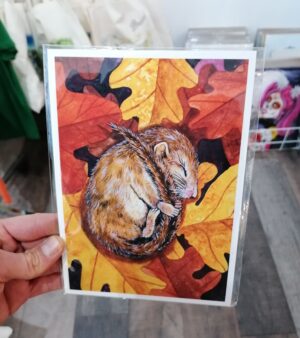 A5 Giclee Print - Sleepy Field Mouse