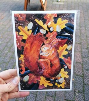 A5 Giclee Print - Sleepy Red Squirrel