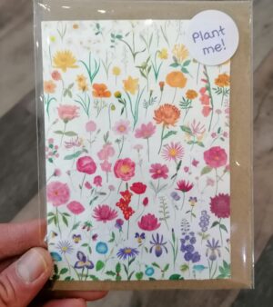 A6 Plantable Greeting Card - Colourful Floral Blank (SPDGC094S)