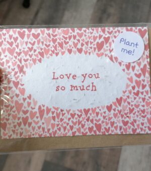 A6 Plantable Card - Love You So Much Hearts (SPDGC098S)