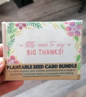 A7 Plantable Greeting Card Pack of 4 - A Little Card To Say A Big Thanks!