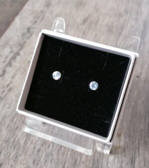 Sterling Silver Stud Earrings - Round Flat(Size 9) WN-SS-06