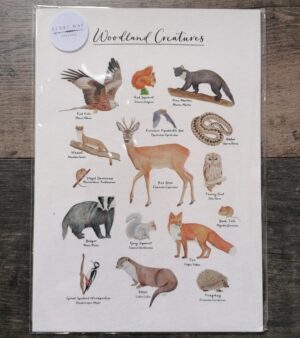 A3 Unframed Giclee Print - Woodland Creatures (English) #GP-WC-A3