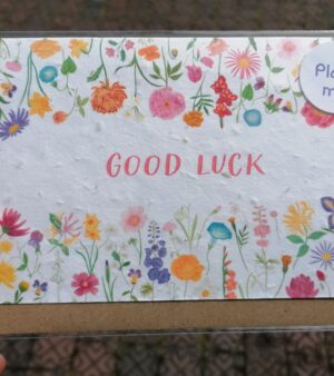 Plantable A6 Greeting Card - Good Luck (SPDGC113S)