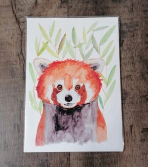 A4 Print - Red Panda