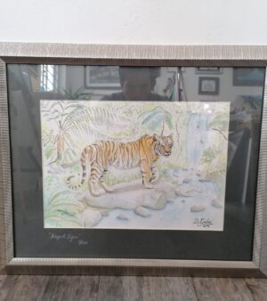 Framed Giclée Print - Bengal Tiger (Silver Coloured Frame 47cm x 57cm)