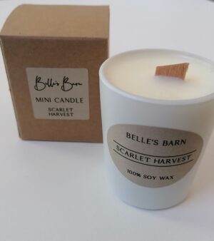 Woodwick Mini Candles - Scarlet Harvest (02SH)