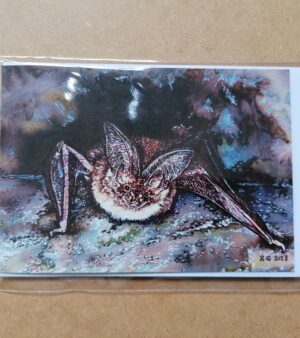 A6 Greeting Card - "Pipistrelle Emerging"