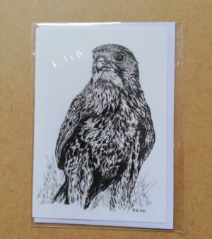 A6 Greeting Card - "Kestrel"
