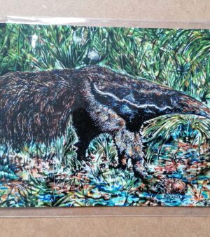 5" x 7" Greeting Card - "Giant Anteater"