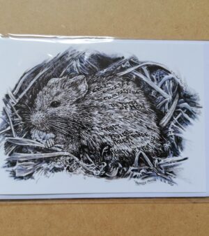 5" x 7" Greeting Card - "Prayer Mouse"