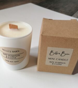 Woodwick Mini Candles - Ripe Pumpkin & Clove (02RP)