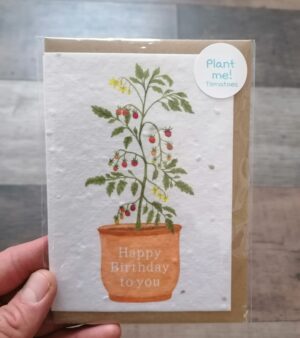 A6 Plantable Card - Tomato Plant "Happy Birthday To You" (SPDGC141S)