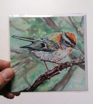 Square Greeting Card - "Firecrest In Winter" (12.5cm x 12.5cm)