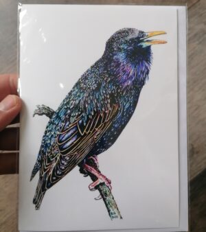 5" x 7" Greeting Card - "Starling"