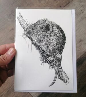 5" x 7" Greeting Card - "Vole On A Twig"