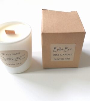 Woodwick Mini Candles - Winter Pine (02WP)