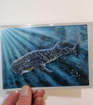 A6 Greeting Card - Whaleshark LS