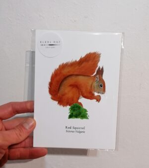 5"x 7" Print - Red Squirrel (#P-RS-5x7)