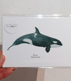 5"x 7" Print - Orca (#P-O-5x7)