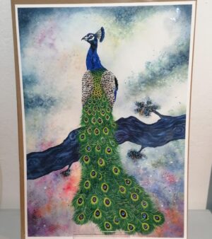 A3 Giclee Print - Peacock