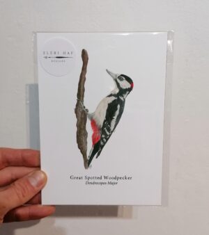 5"x 7" Print - Great Spotted Woodpecker (#P-EH-5x7)