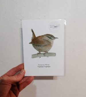 5"x 7" Print - Eurasian Wren (#P-TO-5x7)