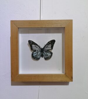 Original Framed Nature Series Butterfly Art - 3D Etching 18cm x 18cm