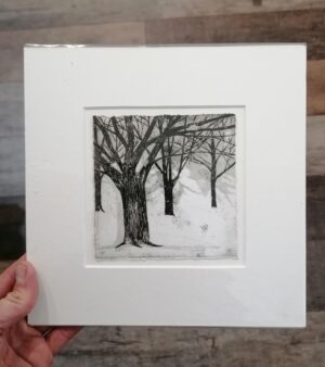 23cm x 23cm Mounted Etching - Winter Park