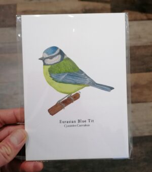 5"x 7" Print - Eurasian Blue Tit (#P-BT-5x7)