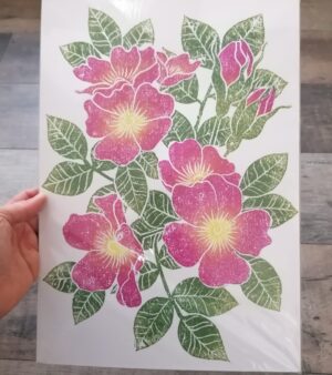 A3 Print - Dog Rose