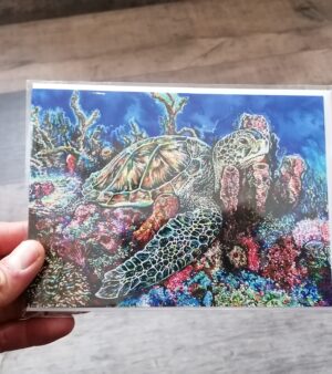 5" x 7" Greeting Card - "Green Turtle"