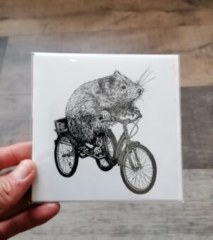 Square Greeting Card - "Tricycle Vole Sets Out..." (12.5cm x 12.5cm)