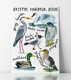 A3 Giclee Print - Bristol Harbour Birds