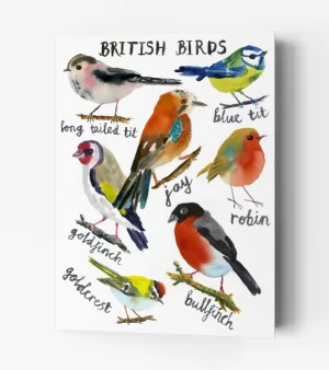 A6 Greeting Card - British Birds (C0141)